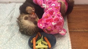 171K views · 26K reactions | With the New Year here, what better way...