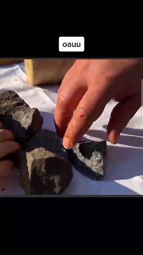 Expert Meat Preparation and Cooking Techniques