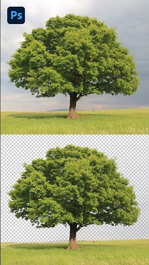 How to Remove Background in Photoshop | Cut Out Tree from JPG to PNG in Photoshop!🔥
