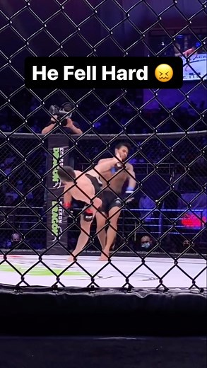 283K views · 768 reactions | Spinning Kick KO #mma #kickboxing #taekwondo #karate #ko | Striking Coach | Facebook