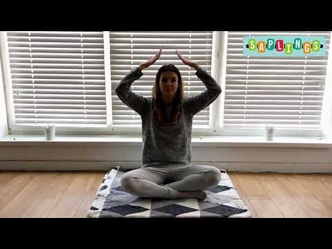 Metoda Knill / Program wprowadzający