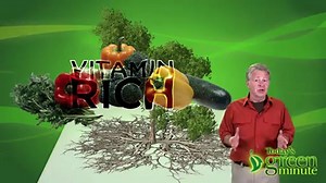 EVER HEARD OF ‘FILM FARMING?’