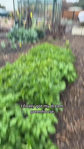 Full tour of my new epic greenhouse #gardening #garden #howto #plants | Green House Gardener