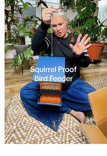 Wildpark Squirrel Proof Bird Feeder for Bird Lovers