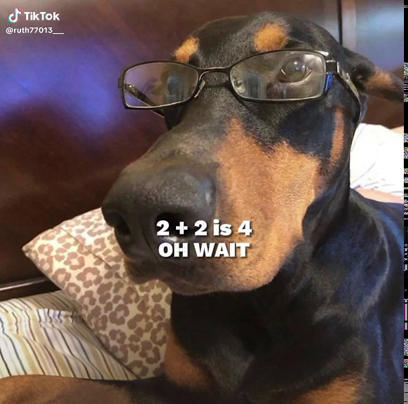 Understanding 2 Plus 2 Is 4 in Chinese Language