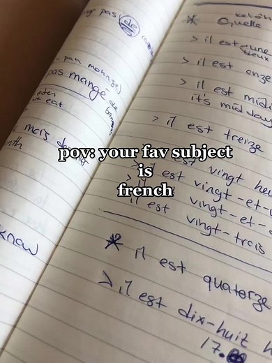 Bonjour #french #frenchaesthetic #speakingfrench #paris #frenchcities #aesthetic #language #school #subject #fy #fyp #pinterest #pinterestaesthetic