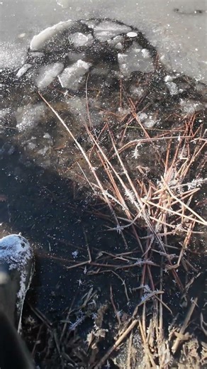 just the coolest sound