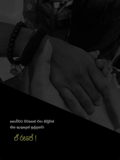 අපි දෙන්නා මාර විදියට ආදරේ කලා.ඒක මමත් දන්නවා.එයත් දන්නවා.කොච්චර වචනෙන් එපා කීවත් හිත ඇතුලෙන් ඉල්ලනවා ඒ රූපේ.🥺😔😭😩❤️‍🩹🫀💔(තාම ඔබේ මතකේ හැරදා යන්න තරම් හිත නෑ හැදිලා...)#kawshi_කෞෂි_கௌஷி #Kawshi_Nethma_Senuri_vithana #kavi_n_senu #flypシ #blessed