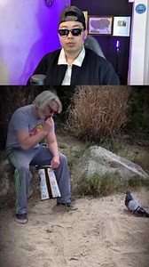 Pigeon eye illusion | Alin