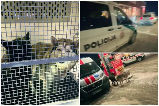 „Įtartini“ tipai degalinėje: Lazdijų policijos iškvietimas – su netikėta atomazga