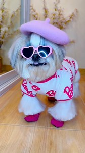 304K views · 9.4K reactions | Princess the K-Pop girl #princessthekikaydog #doglover #fbreelsvideo #fbreelsfypシ゚viralシ | FurMom Rose | Facebook