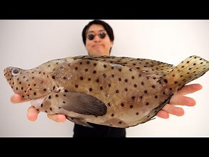 【Searched for six years】 I got the greatest and rarest fish ever.