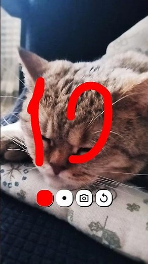 6 января 2026 г.