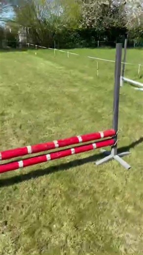 Dit is nog van het springen gisteren