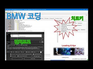 치트키를 사용한 BMW E-SYS 코딩.