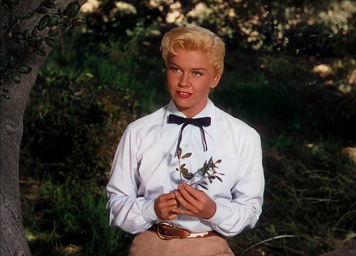 Doris Day - Secret Love (1953) "Secret Love," performed by Doris Day, emerged as a cherished part of the American musical landscape upon its release in 1953. Featured in the film Calamity Jane, the song encapsulates the emotional release of declaring hidden love, connecting deeply with audiences. The creative minds behind this piece, composer Sammy Fain and lyricist Paul Francis Webster, crafted a melody that seamlessly aligns with its lyrical theme of unveiled secrets, enhancing the song's emot