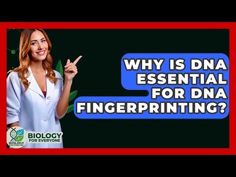 Why Is DNA Essential For DNA Fingerprinting? - Biology For Everyone