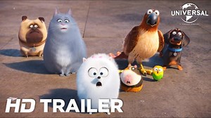 Watch the new trailer for #TheSecretLifeofPets now! Coming soon to cinemas. | The Secret Life Of Pets