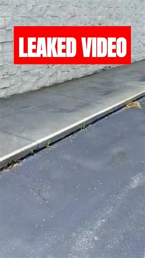 LOT LIZARD SANCTUARY EXPOSED BY TRUCKER. This is the new normal for the trucking industry.