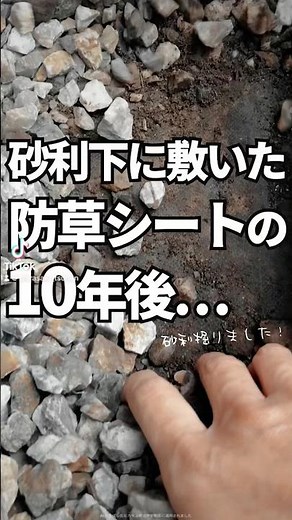 砂利下に敷いた防草シートの１０年後…#防草シート #雑草対策