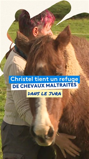376K views · 14K reactions | Christel a consacré sa vie aux chevaux . Aujourd'hui elle propose un refuge à ceux qui ont été maltraités, dans le Jura  Les Écuries Krystal N. Evangelista, H. Perret, A. Goiffon, M. Hecky | France 3 Franche-Comté | Facebook