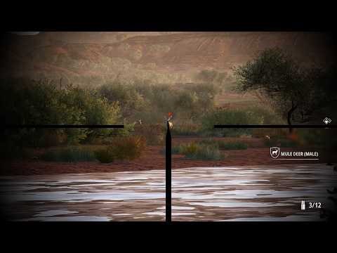 Hunting Simulator 2 - S2E3