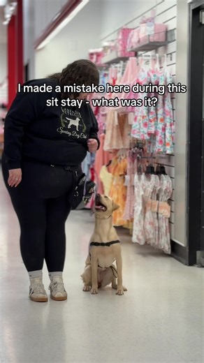 Improving Rally Obedience Skills for Novice Handlers