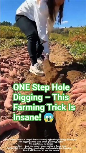 ONE Step Hole Digging – This Farming Trick Is Insane! 😱 #satisfying #farmingtips #short