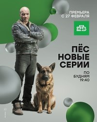 Сериал Пес 6 сезон  смотреть онлайн бесплатно!