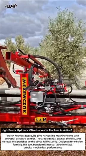 High-Power Hydraulic Olive Harvester Machine in Action!