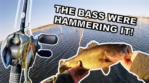 Googan Squad Zinger VS. Choke Canyon! (Fall Bass Fishing Texas)