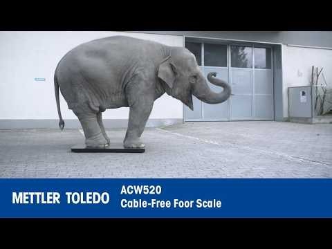 Cable-Free floor scale ACW520 - Product Video - METTLER TOLEDO Industrial - en
