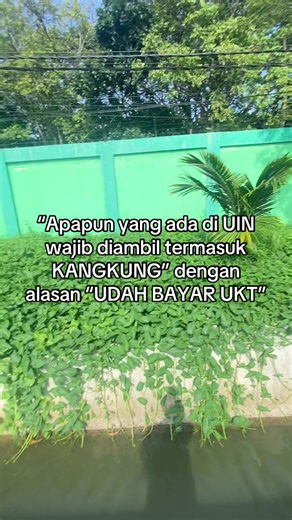Ambil Semua dari UIN: Kemandirian Mahasiswa