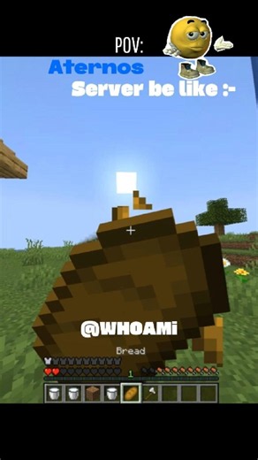 POV : ATERNOS server be like!! #minecraft #memes