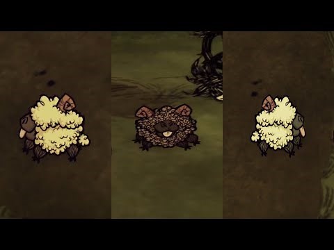 New Chester Skins | Don't Starve Together
