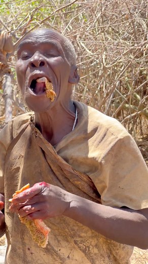 967K views · 11K reactions | Hadzabe Tribe Truth: Why Some Meat Is...