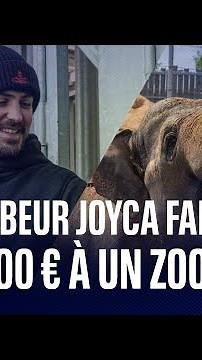Le youtubeur Joyca fait un don de 50.000 € à un zoo-refuge
