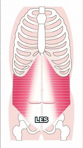 Découvrez des muscles stabilisateurs... si IMPORTANTS!