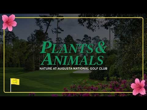 Plants and Animals: Nature at Augusta National Golf Club