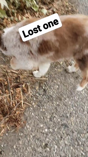 Mariah Galera Scribner on Reels