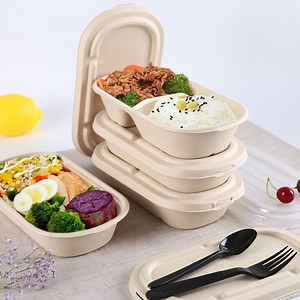 [Hot Item] Multifunctional Disposable Biodegradable Bagasse Take Away Food Container Sugarcane Lunch Box