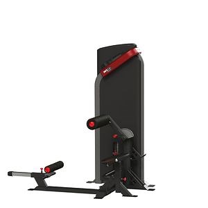 [Hot Item] Commercial Abdominal Curl & Back Extension Gym Exercise Strength Machine