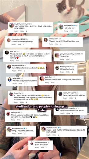 56K views · 2K reactions | Part 3 of my video response. This is what...