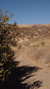 You got your tix – now get your fit. Shop boho-inspired festival finds for her, online and in stores now. | Lucky Brand