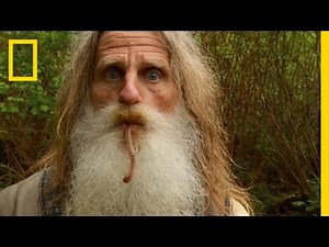 Forest Trail Mix | The Legend of Mick Dodge