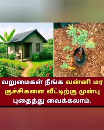 ஆன்மீகம்#divine #shortsfeed