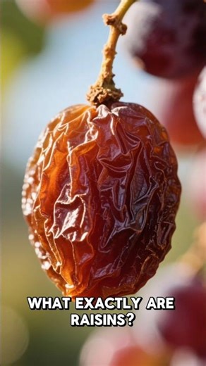 The Truth about Raisins (dried grapes) - The Fact Media.