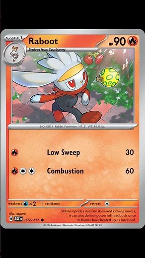 Raboot 🔥 SWSH Common Card! MUST HAVE for Collectors!