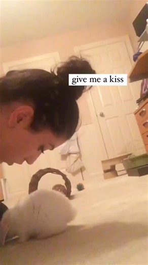 A look improves mood 😍🐰 on Instagram: "Lucky girl 😍 Follow us @bunny.first for daily bunny joy and fluffy love 💕 Tag a friend who needs some bunny happiness today! 💫 @blancobun 🤍 #rabbit #bunny #rabbitsofinstagram"