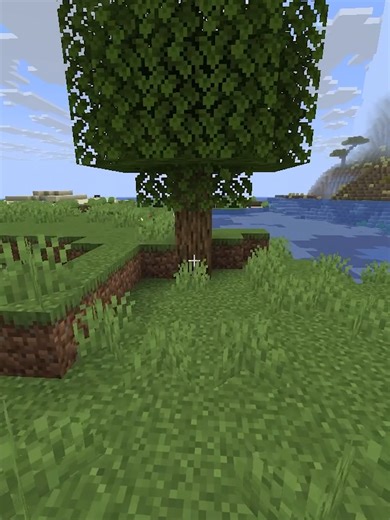 Creative Minecraft Build Ideas for Your Server